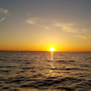 Meet your Posher, Frank